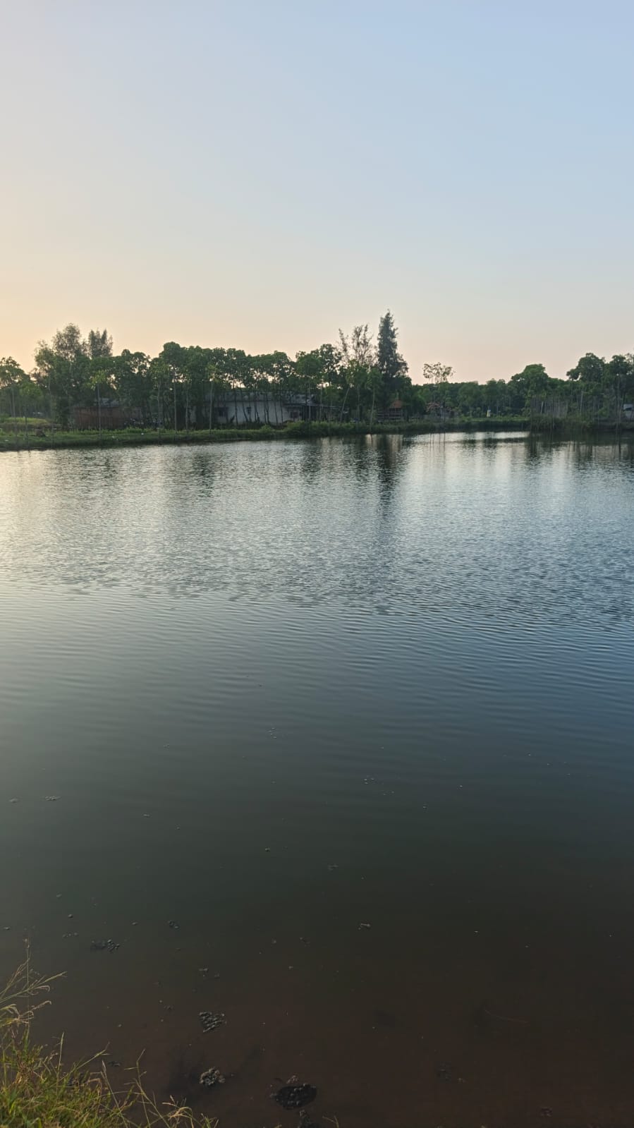 IMG-20251115-WA0014 - Rose Mukti82