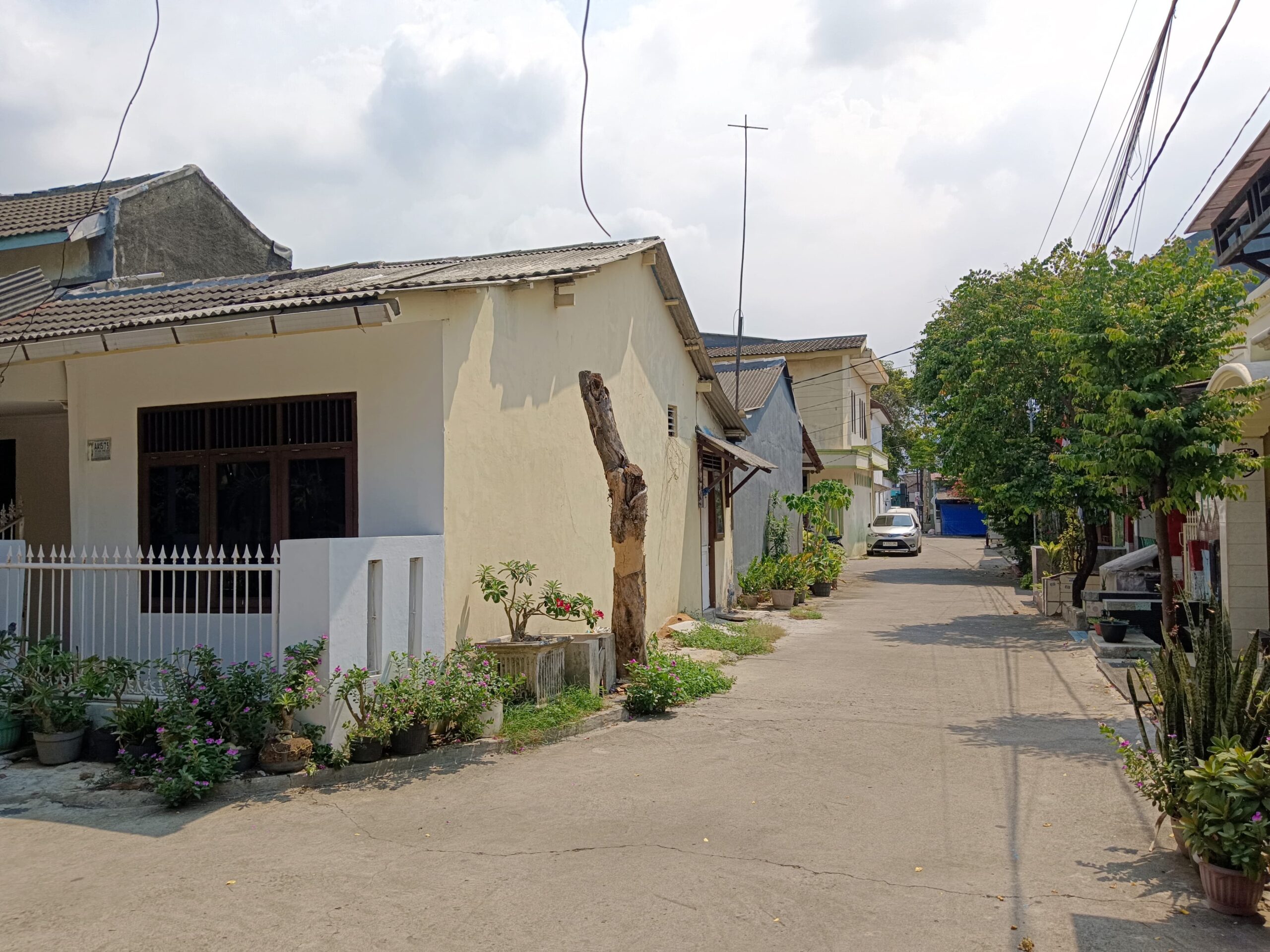 IMG-20251129-WA0043 - Mila Mila