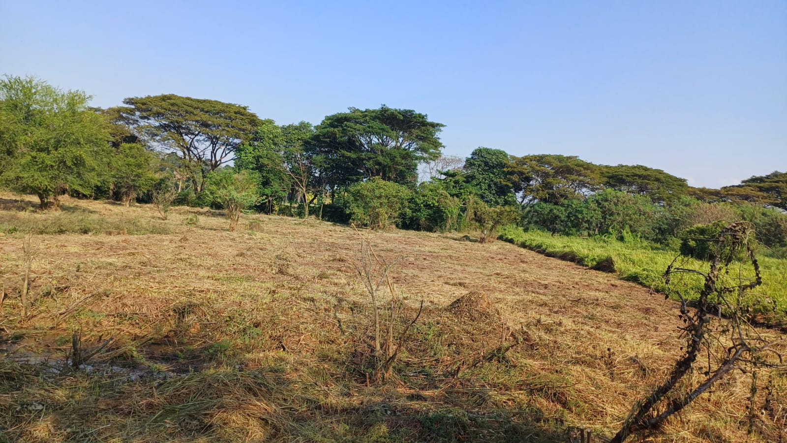 IMG-20260129-WA0001 - bayu erasky