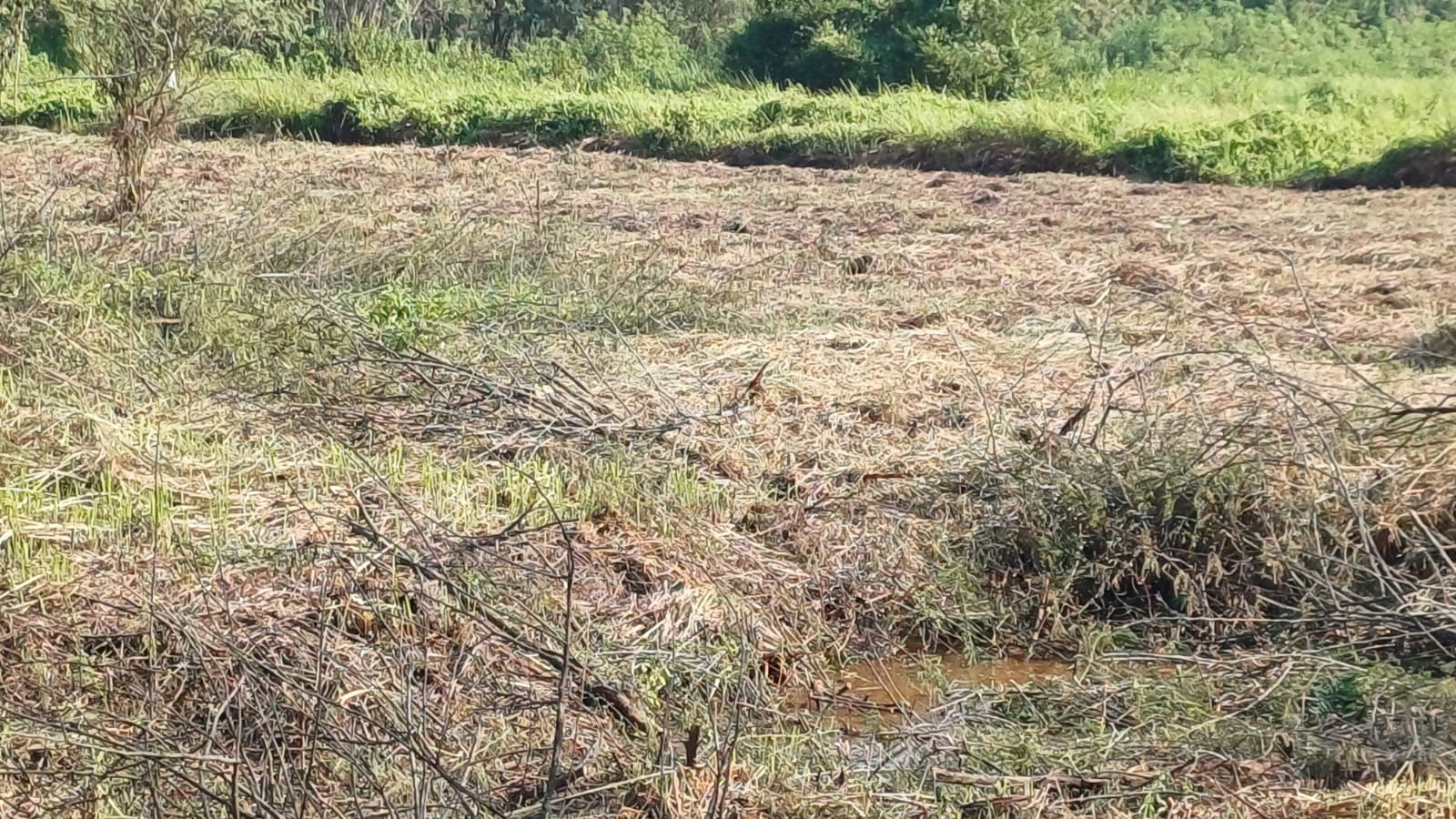 IMG-20260129-WA0005 - bayu erasky