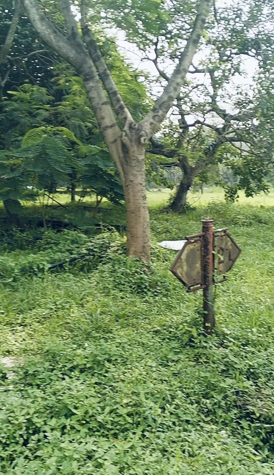 IMG-20260129-WA0071 - bayu erasky