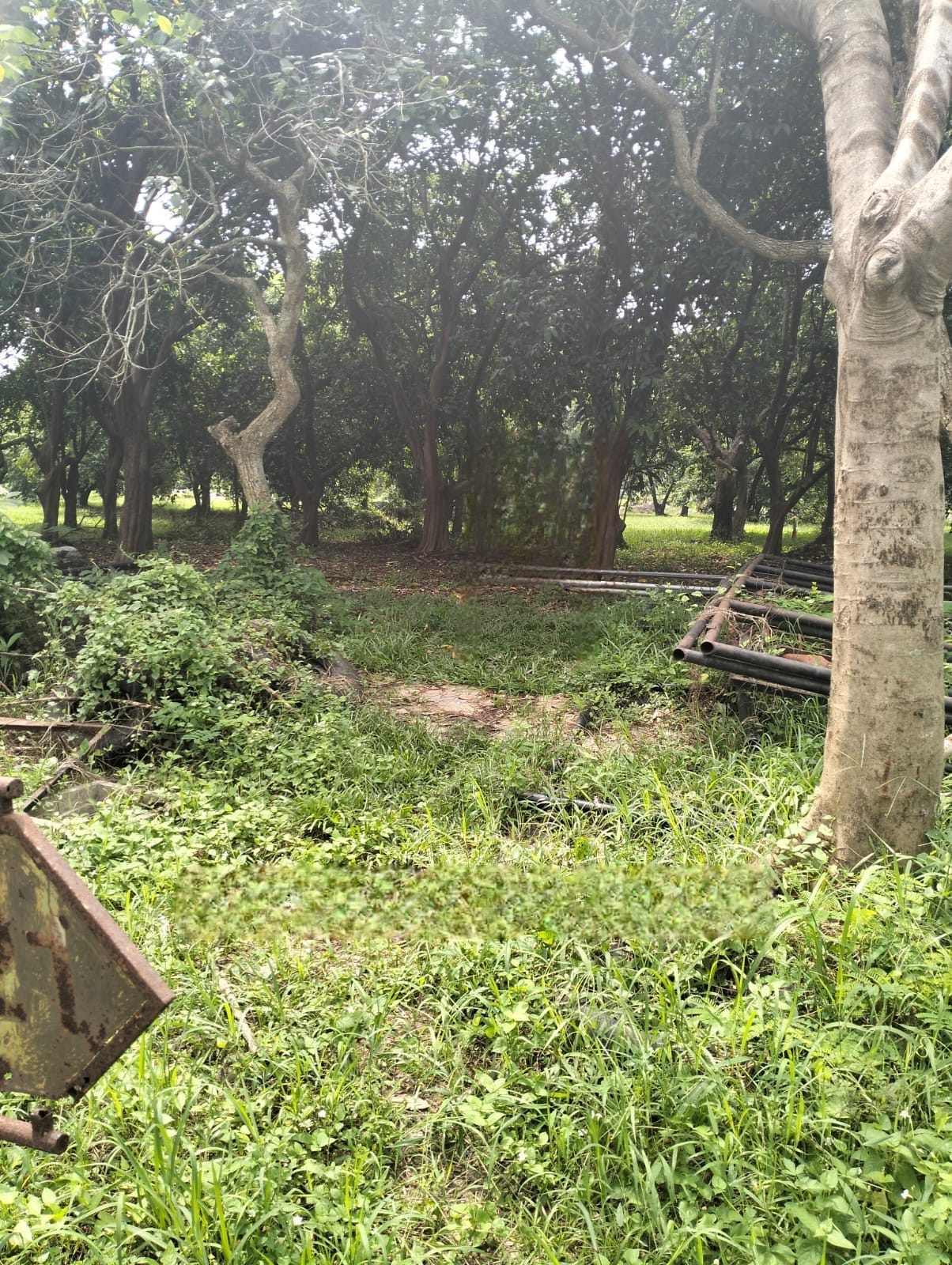 IMG-20260129-WA0072 - bayu erasky