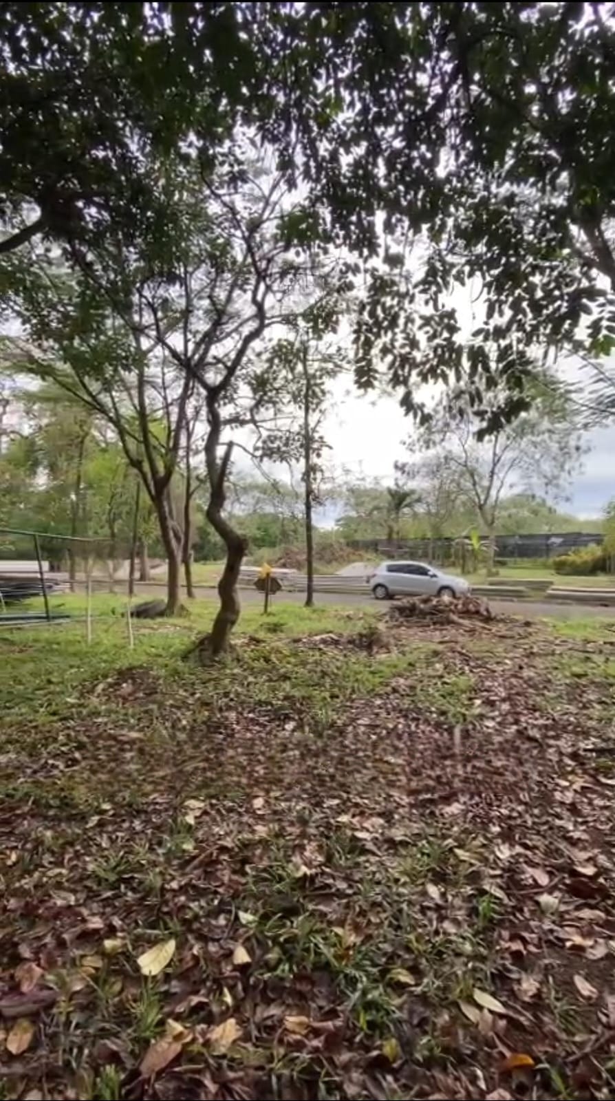 IMG-20260129-WA0075 - bayu erasky