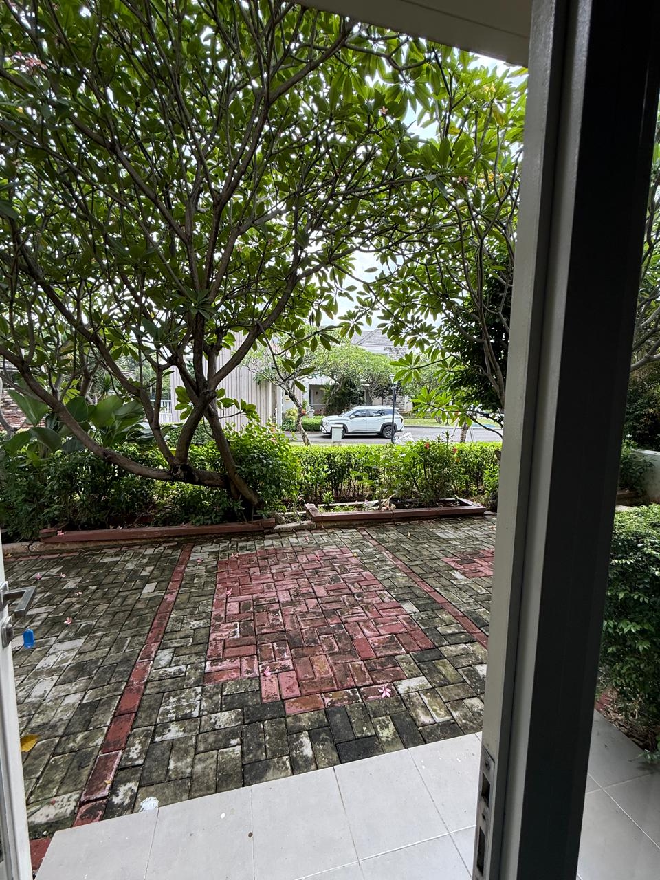 WhatsApp Image 2026-01-08 at 07.43.47 (1)