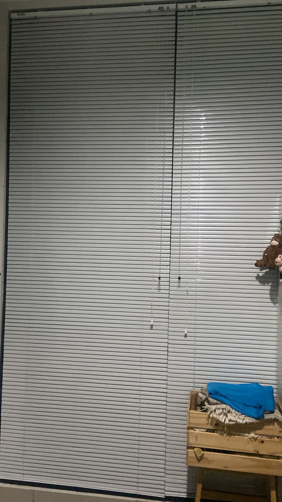 WhatsApp Image 2026-01-08 at 19.11.20 (1)