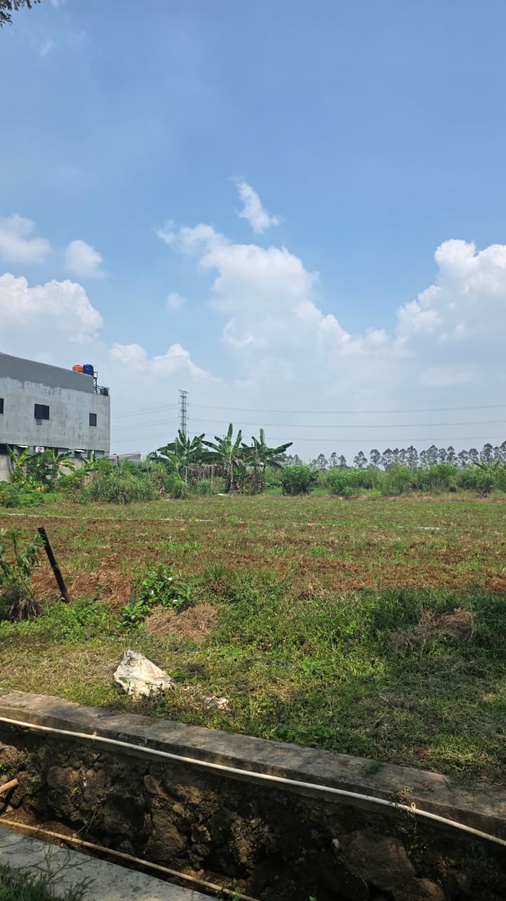 WhatsApp Image 2026-04-16 at 12.57.09 (1)