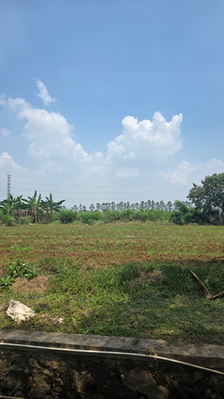 WhatsApp Image 2026-04-16 at 12.57.09